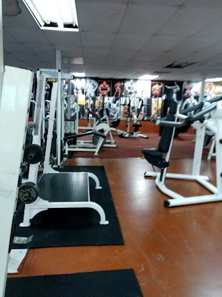 Exstacy Gym