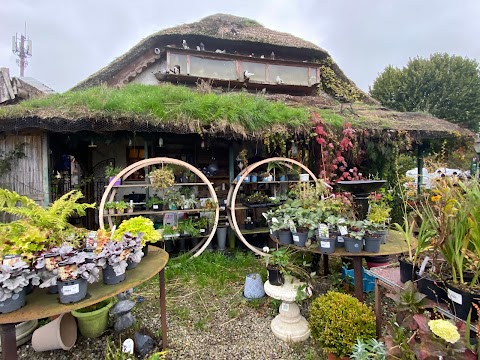 Bandon Garden Centre and Florist