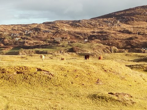 Derrynane Shores