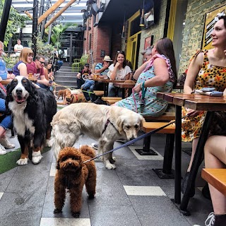 Puppy Pub Crawl - Dog friendly tours