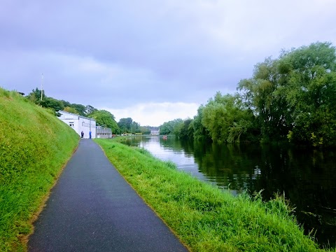 Bagenalstown Swimming Club