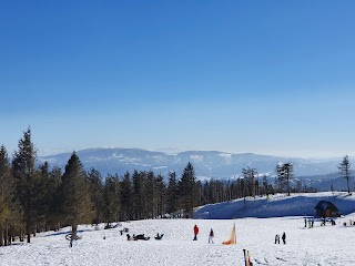 Schronisko Na Dębowcu