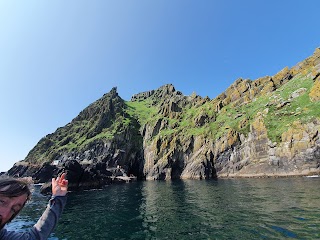 Skellig Tours