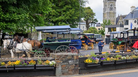 Killarney Horse and Carriage Tours