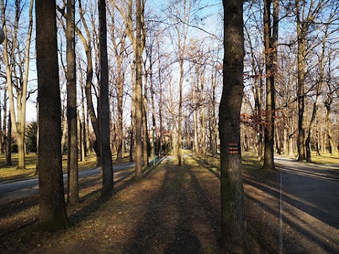 Park Cygański Las w Bielsku-Białej