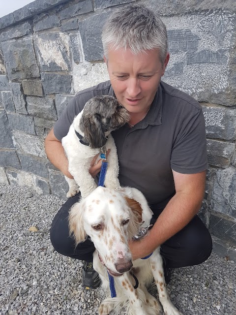 Little and large dog boarding kennels