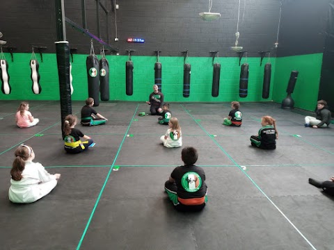 Na Fianna Martial arts and Fitness Centre