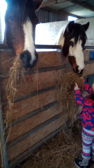 Rockafoyle Stables