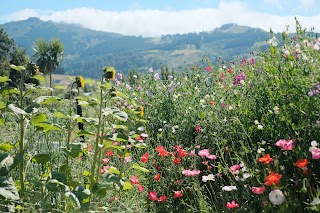 Company of Flowers