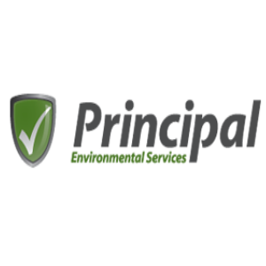 Principal Environmental Services