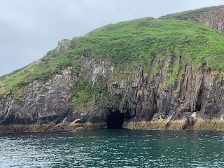 Dingle Boat Tours