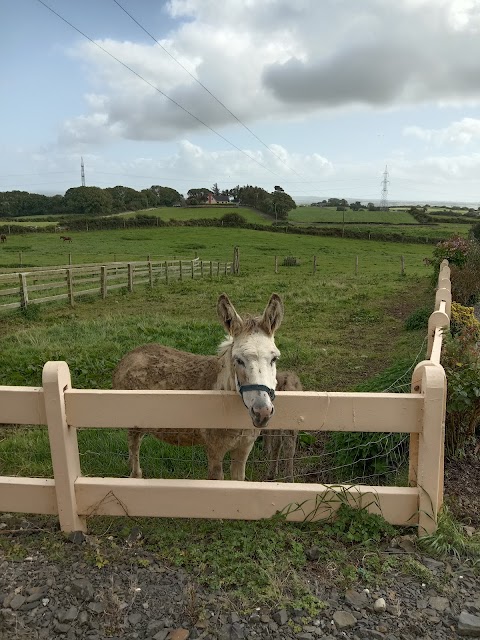 Fortfield Farm B & B