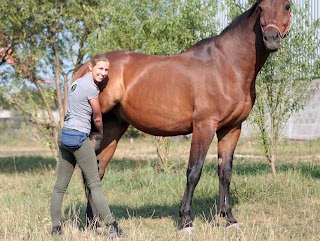 Gabinet Weterynaryjny dla koni "PokWet" dr n. wet. Paulina Zielińska