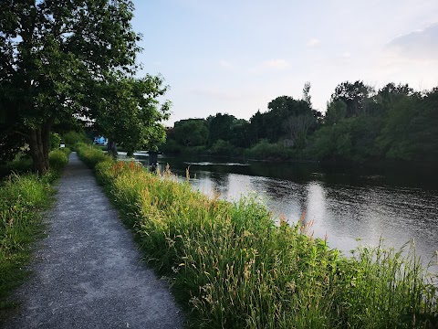 Walking Path Near River Laune