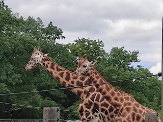 Zoo Opole