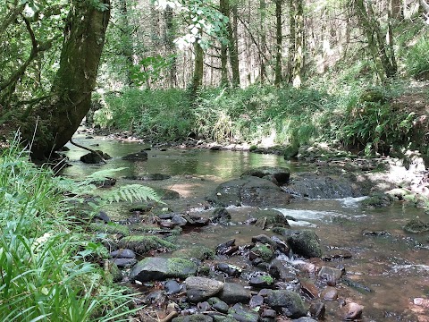 glansheskin meander