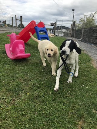 Bone & Bowl Boarding Kennels