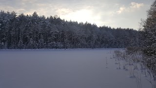 Domki Letniskowe w Wierzbinach