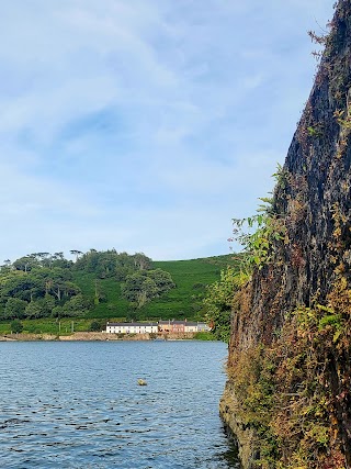 The Ferry Arms