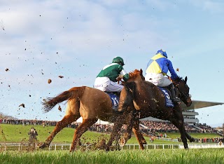 Limerick Racecourse