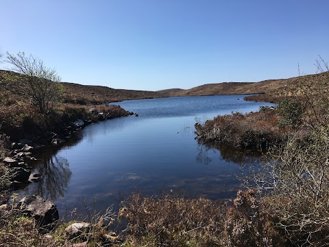 Terra Firma Ireland