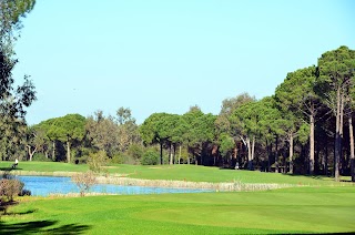 Midlands Golf Club