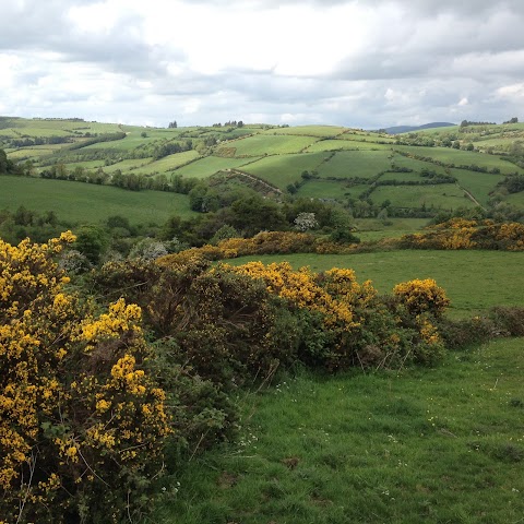 Tipperary Mountain Trekking Centre