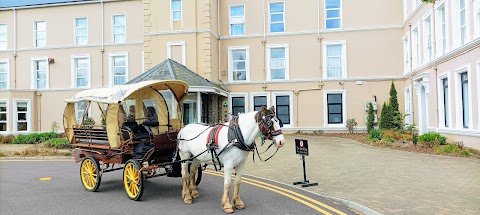 Killarney Carriage Rides