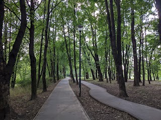 Park Dąbie