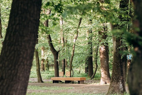 Торговий Дім ЛОЗА