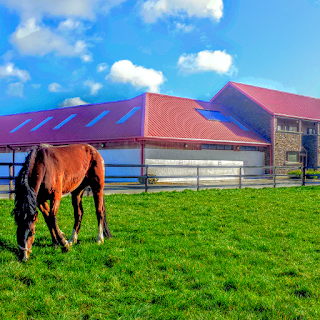 Borovalley Veterinary Clinic