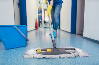 Pszczółka Cleaning