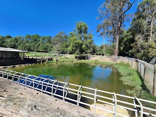 Golden Ridge Animal Farm, sydney