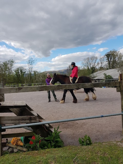 Hairy Henry Therapeutic Riding