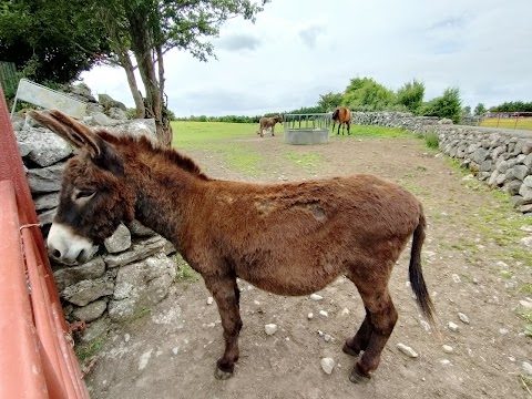 Burren Nature Sanctuary & Cafe