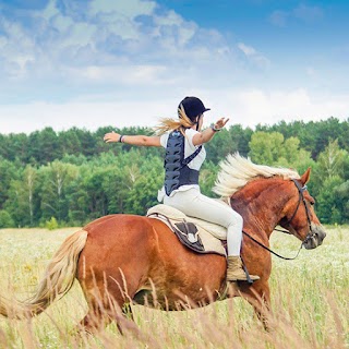 Кінний дитячий табір Like Horses Camp