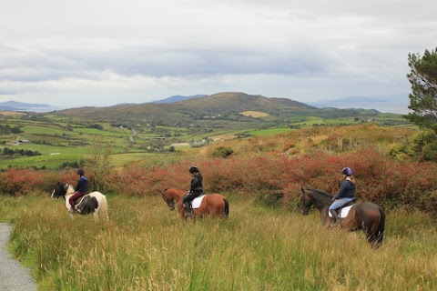 Bantry Bay Pony Trekking