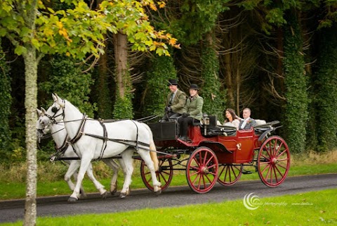 Sean Kilkenny Carriages, Trekking and Equine Services (thejarveyman)