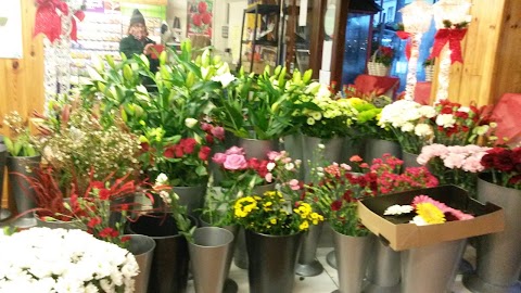 Four Seasons Florists/Leitrim Flowers