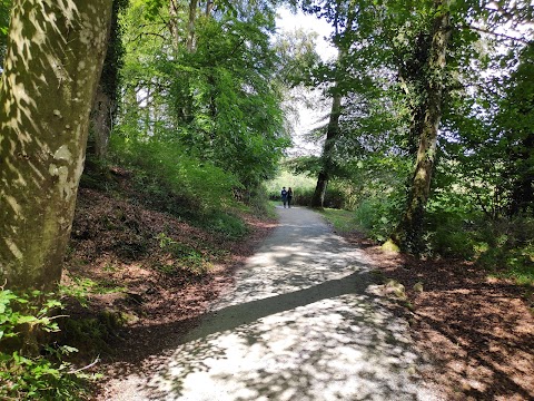 Curraghchase Forest Park