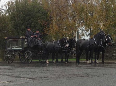 Sean Kilkenny Carriages, Trekking and Equine Services (thejarveyman)