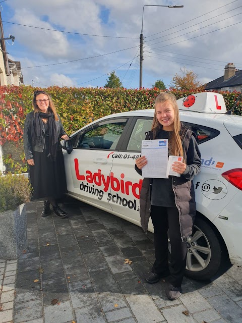 Ladybird Driving School Portarlington