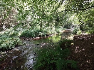 glansheskin meander