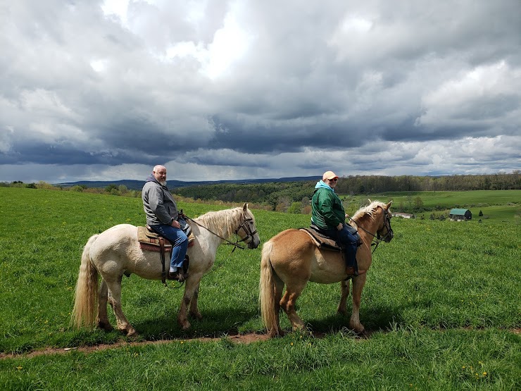 Tioga Trail Rides, Wellsboro, PA