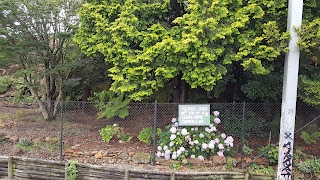 Leura Service Centre