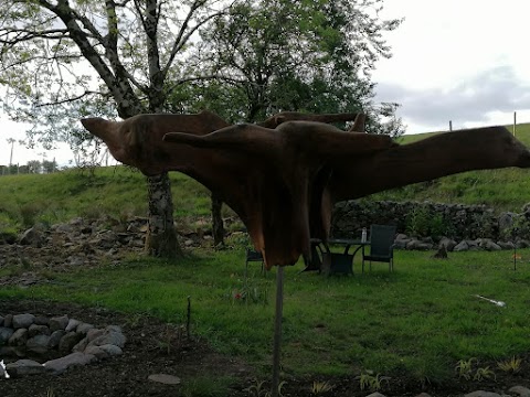 Connemara Eco Skills Training