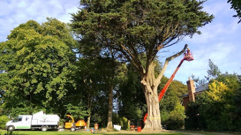 Tree Surgeons & Tree Removal - Pro Gardening - Limerick