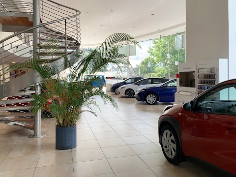 O'Callaghan Motor Works, Toyota Dealer