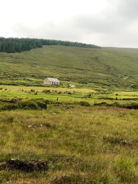 Bangor trail (start)