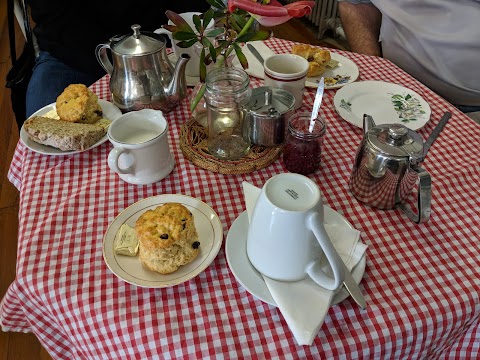 Oasis Tea Room